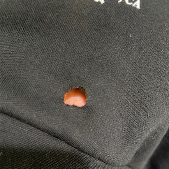 SZA Bug Hoodie - SOLD OUT Everywhere - Kendrick Lamar Tour. XXL - See pics! - Picture 8 of 11